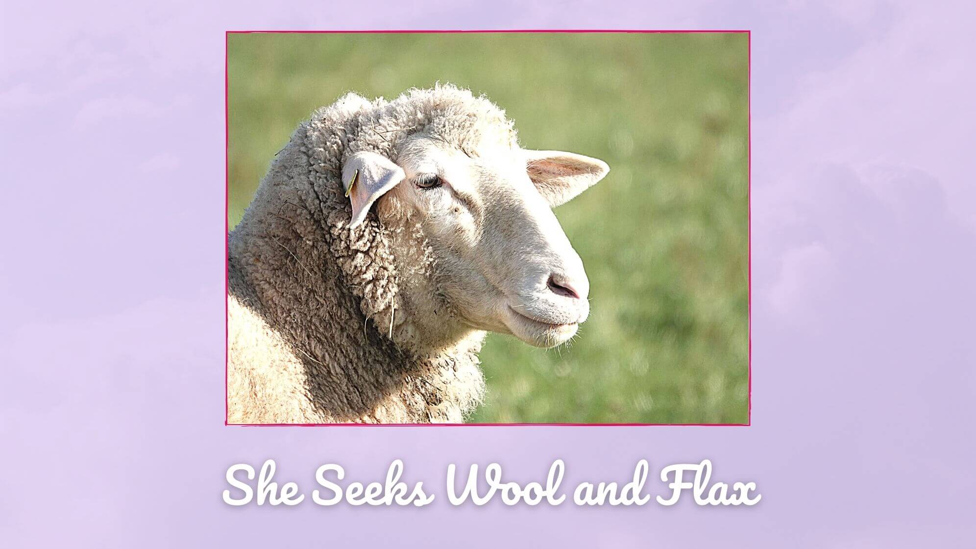 How Were Wool And Flax Used In Bible Times A Ruby In The Rough